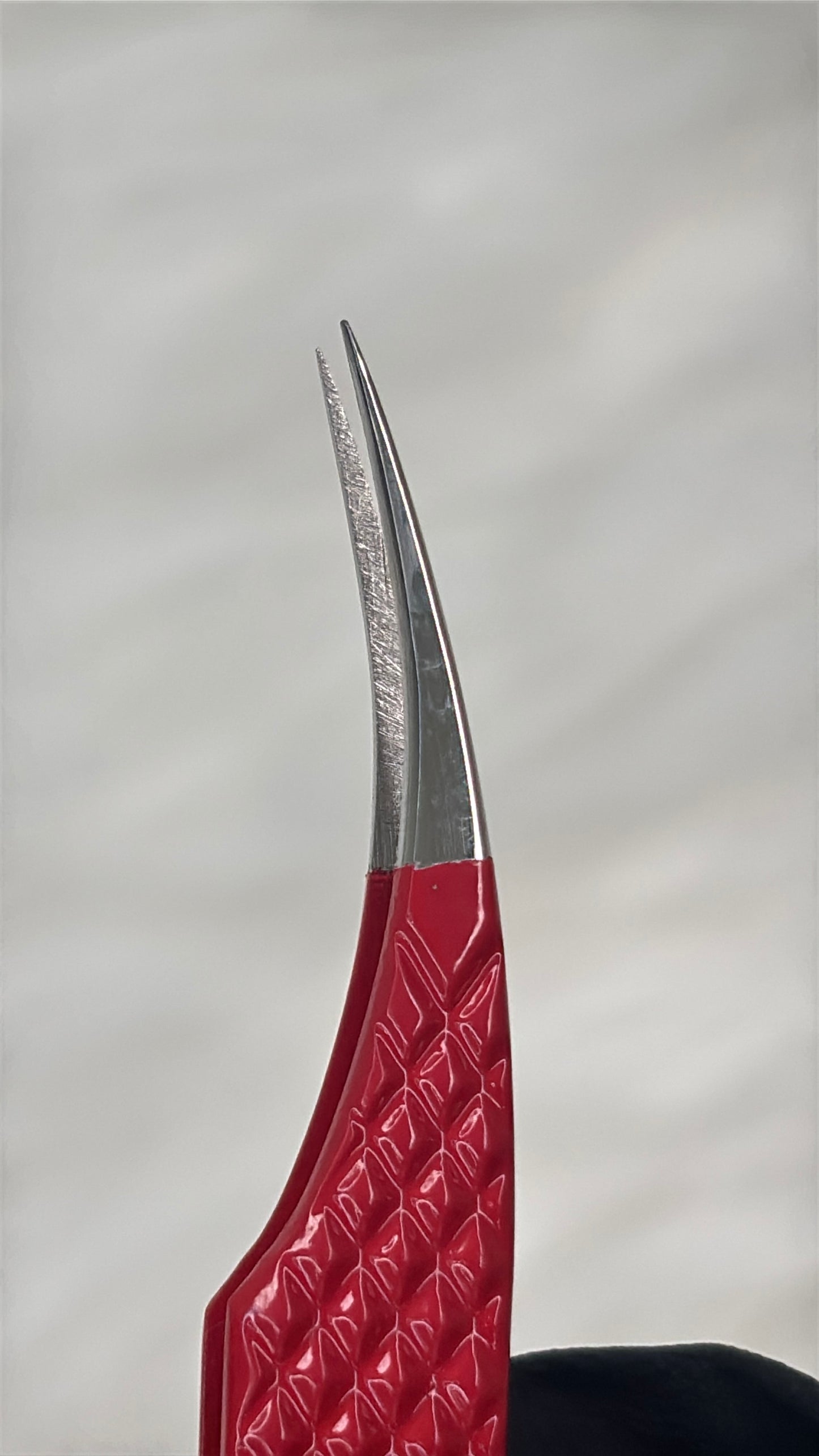 Lash Tweezers