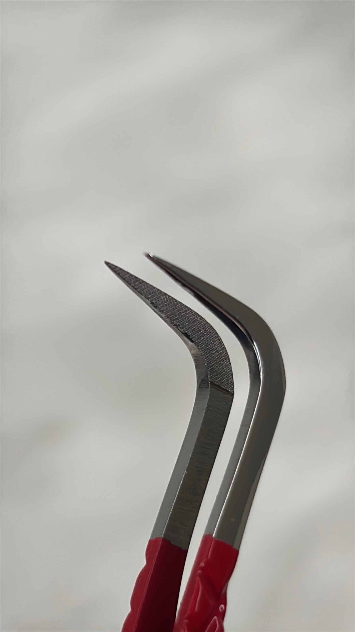 Lash Tweezers