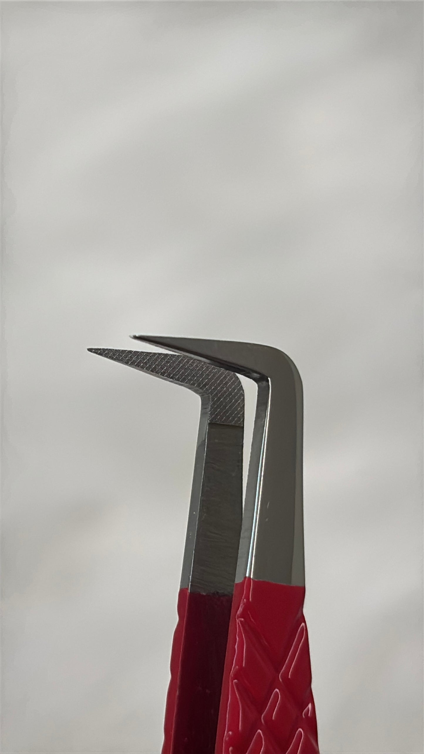 Lash Tweezers
